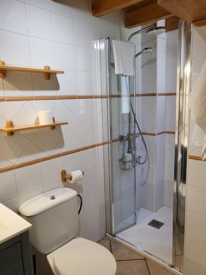 Estudio 2-4 Personas En Vielha-Baqueira Dış mekan fotoğraf